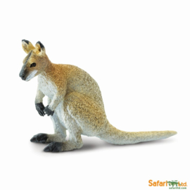 Wallaby   S224929
