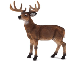 Deer   Mojo 387038