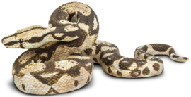 Boa constrictor S 266529
