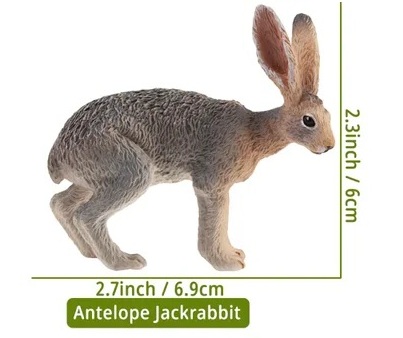 Antelope jackrabbit