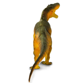 Daspletosaurus Safari 100572