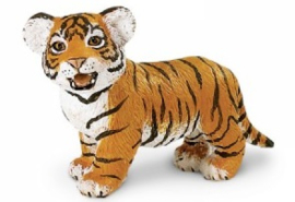 Bengal Tiger Cub   S294929