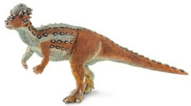 Pachycephalosaurus Safari 100350