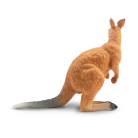 Kangaroo  standing  Toymany