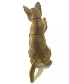 Abyssinian Cat Kitten donker