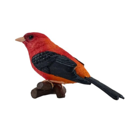 Zwartvleugeltangare  Mojo 381144