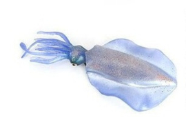 Inktvis blauw paars