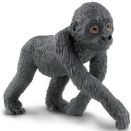 Gorilla Baby  S294829