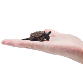 Bijtschildpad   Toymany