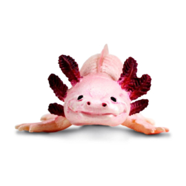 Axolotl S104650