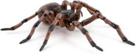 Spider  Papo 50292
