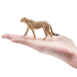 Cheetah female Toymany