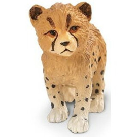 Cheetah Cub  S272029