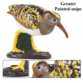 Greater painted snipe