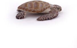Loggerhead turtle   Papo 56005