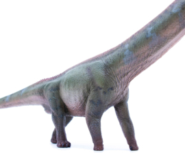 Mamenchisaurus Haolonggood HLG 095
