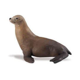 Sea Lion