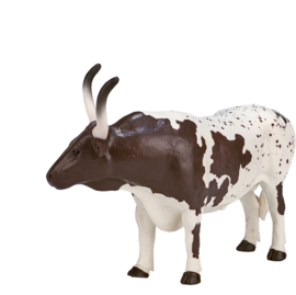 Texas Longhorn  bull   Mojo 387222