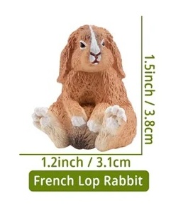 French lop ear