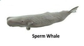 Sperm whale mini
