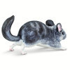 Chinchilla S100075