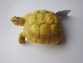 Landschildpad XL