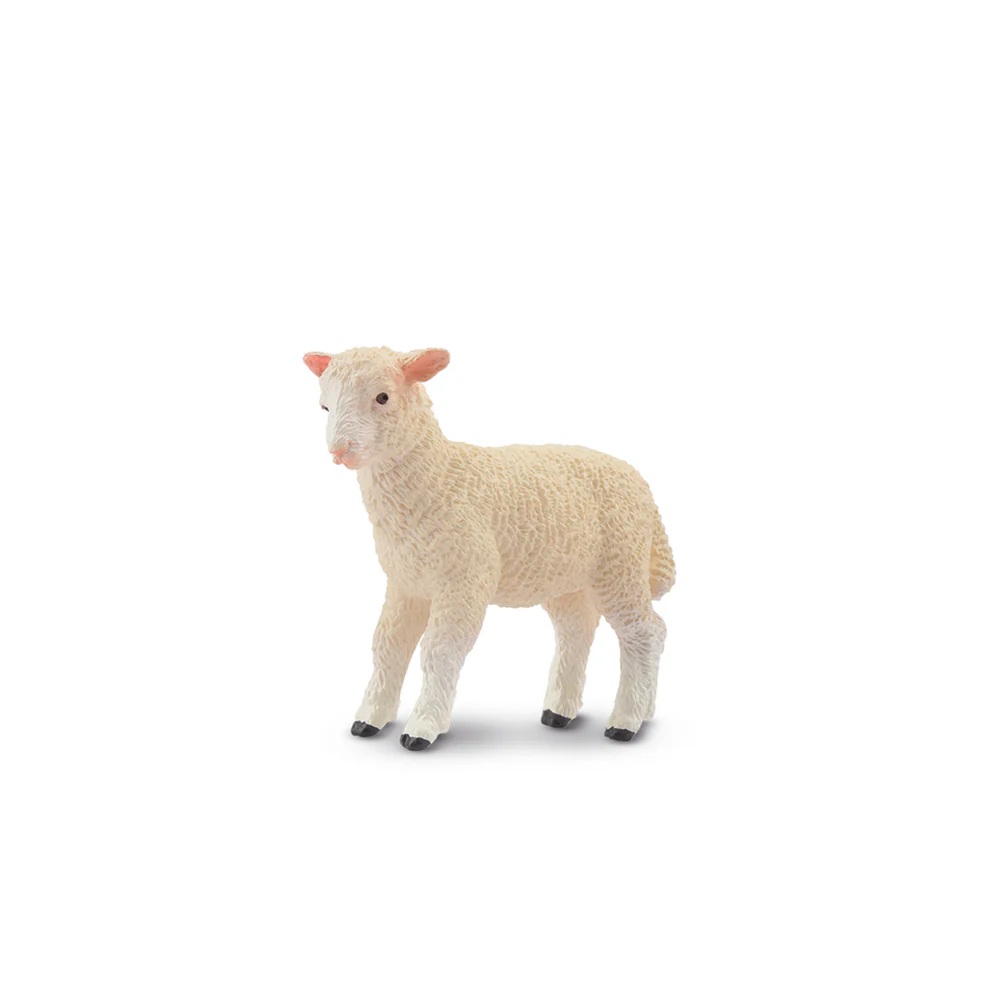 White Lamb Toymany
