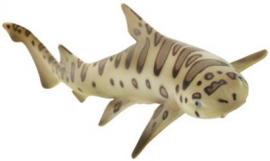 Luipaardhaai   S274929