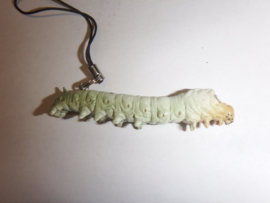 Bombyx mori  catterpillar silk butterfly