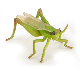 Grasshopper Papo  50268