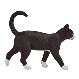 Cat  walking   Mojo 387200