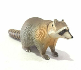 100 Wasbeer  Raccoon  Furuta