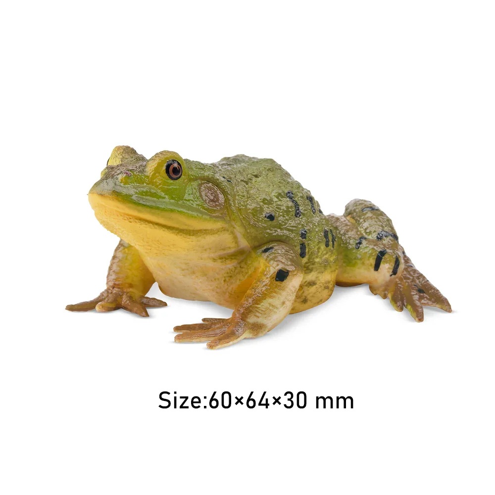 Bullfrog Toymany