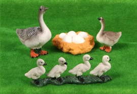 Goose lifecycle