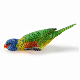 Rainbow Lorikeet