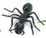 Ant   mini