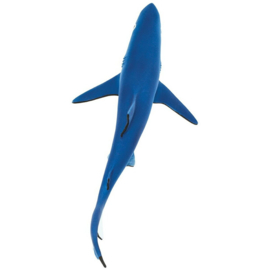 Blue shark Safari 211802