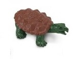 Sawback turtle  mini