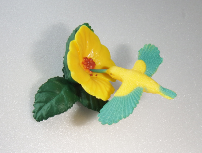 Kolibri met bloem