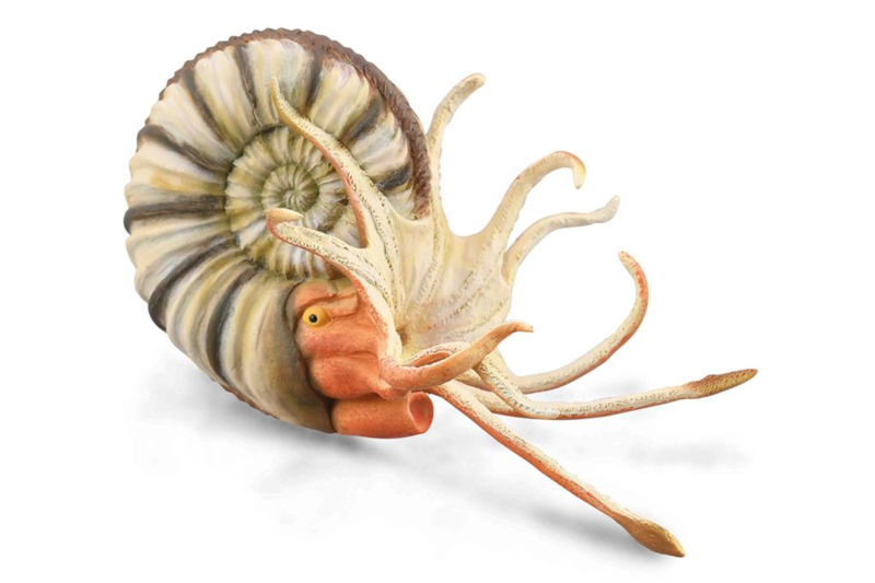 Pleuroceras Ammonite CollectA 88902