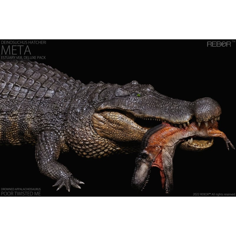 Rebor Deinosuchus Models