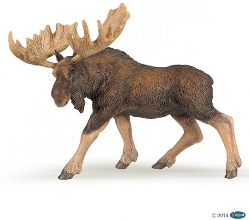 The moose forex figure The moose forex figure category of financial ratios