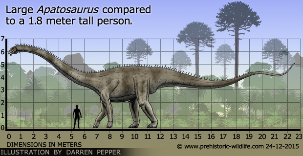 Papo Apatosaurus Dinosaur 55039 14" Figure for sale online 