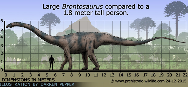 Collecta brontosaurus hotsell