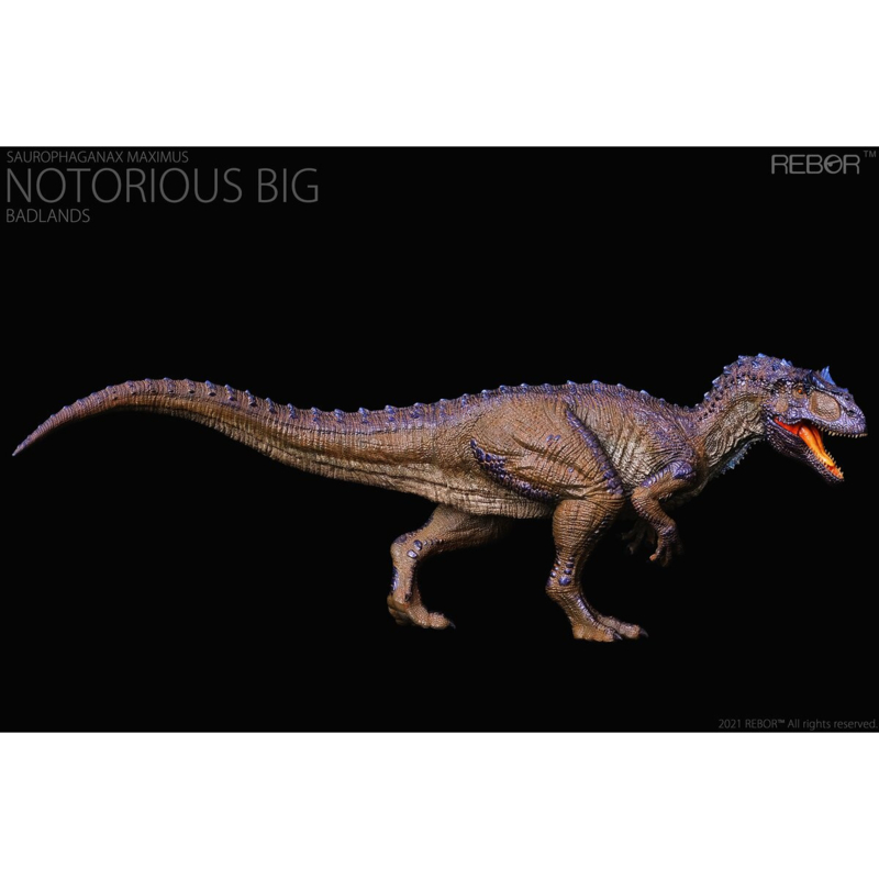 Rebor Adult Deinosuchus Models