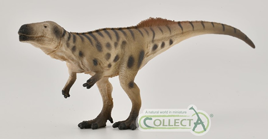 Megalosaurus collecta 2021
