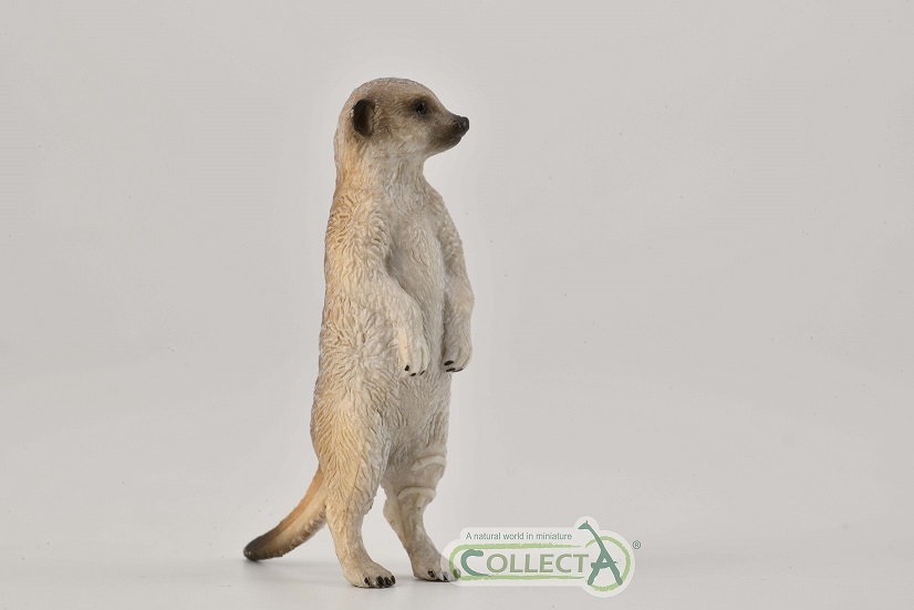 collecta 2021 meerkat