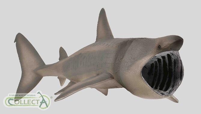 collecta 2021 basking shark
