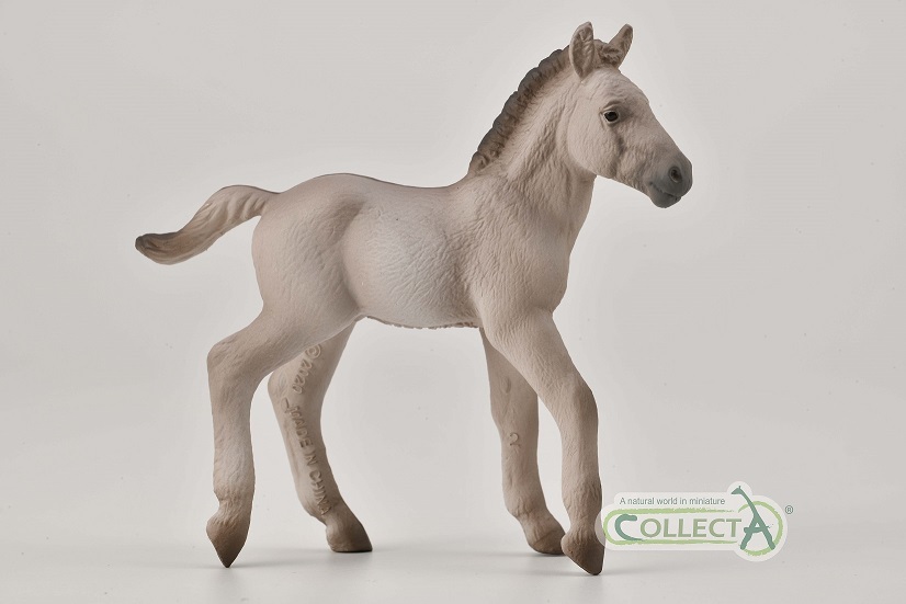 collecta 2021 koninkpaard veulen