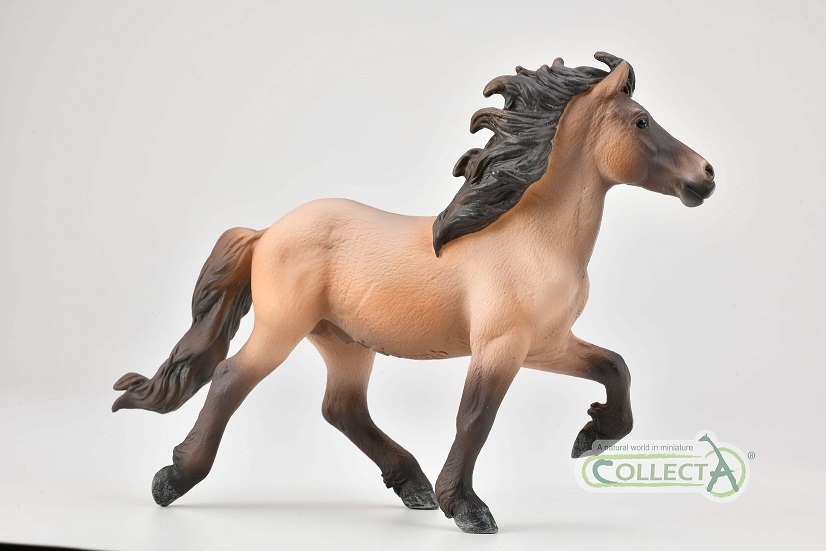 ijslands paard collecta 2021